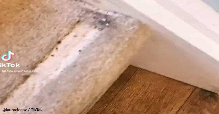 Woman Shares Ice Hack To Remove Dents From Carpet
