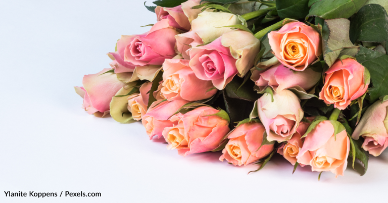 Man Explains Why He Still Buys Flowers For His Ex-Wife