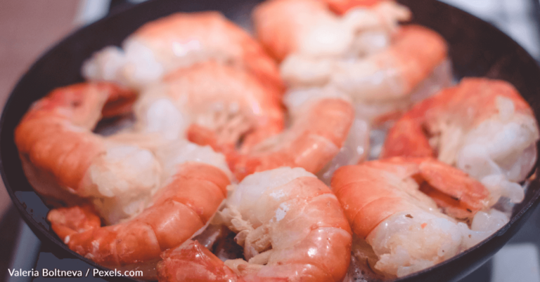 FDA Issues Recall Over Contaminated Canned Shrimp