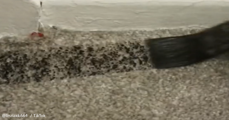 Woman Painted Her Carpet Black And People Say It Looks “Smoke Damaged”