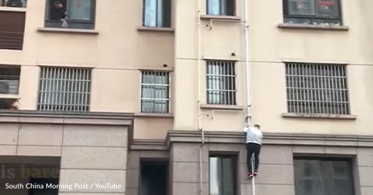 Man Scales Building To Save Toddler Who Fell From A Window