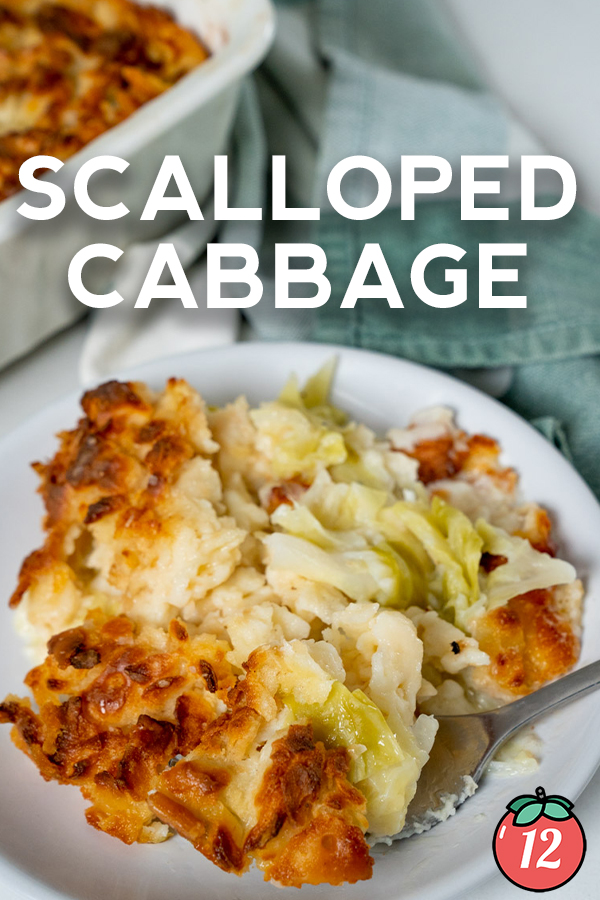 Easy Scalloped Cabbage Recipes 2023 - AtOnce