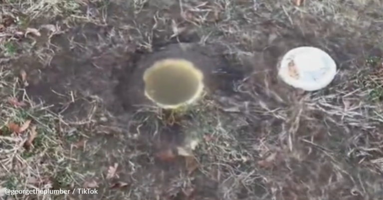 Plumper Demostraights The Dangers Of Using Flushable Wipes