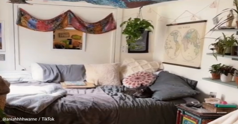 Woman Moves Out Of Her Parent’s House Into A Shed In Their Backyard And It Looks Amazing