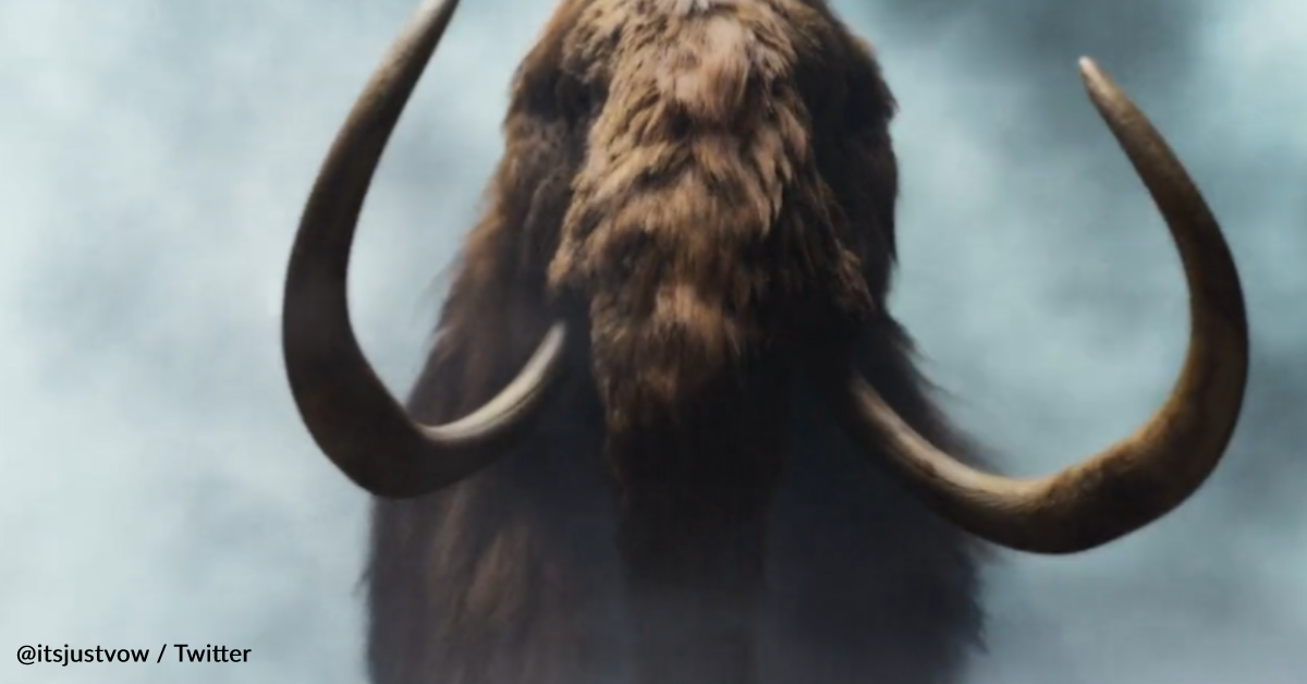 Scientists Created A Meatball Using LabGrown Woolly Mammoth 12 Tomatoes