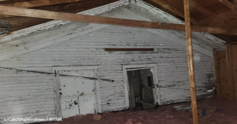 Homeowner Discover A Second House Hidden In The Attic