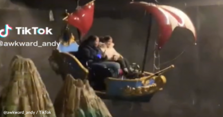 Man Shows What Happens When A Disneyland Ride Breaks