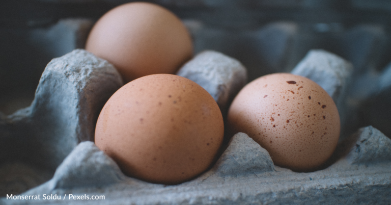 Soaring Egg Prices Resulted In 718% Profit For Largest Egg Producer