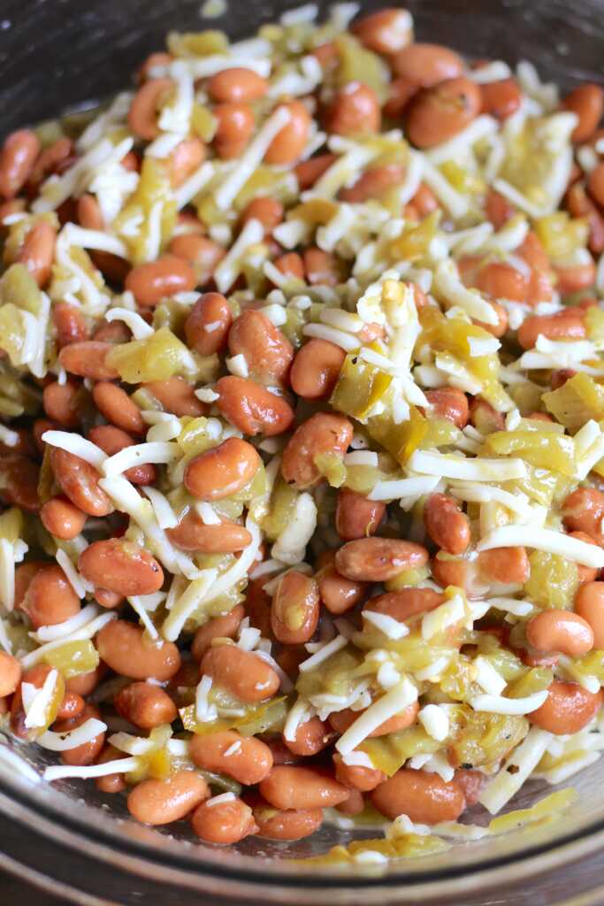 Pinto Bean Enchiladas 12 Tomatoes