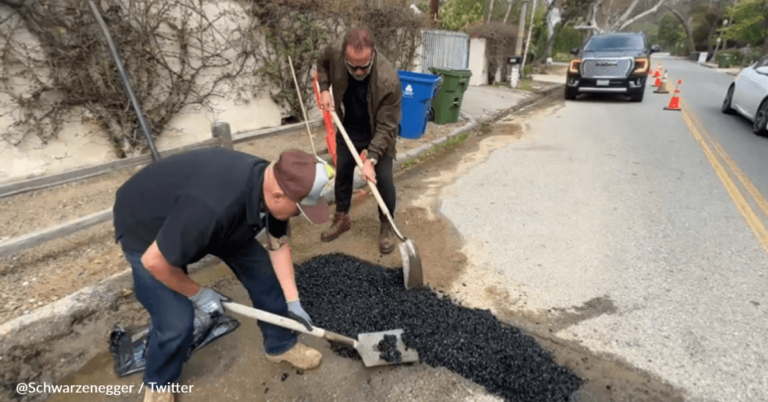 Arnold Schwarzenegger Fills City Service Trench After Mistaking It For A Pothole