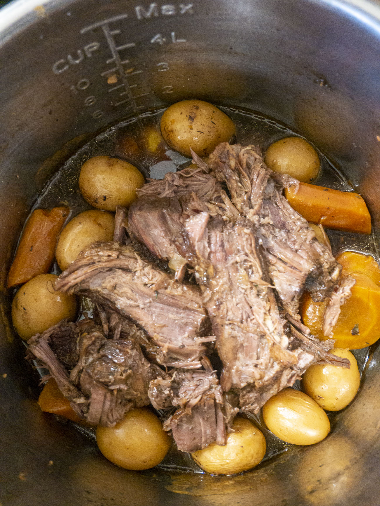 Instant Pot Pot Roast