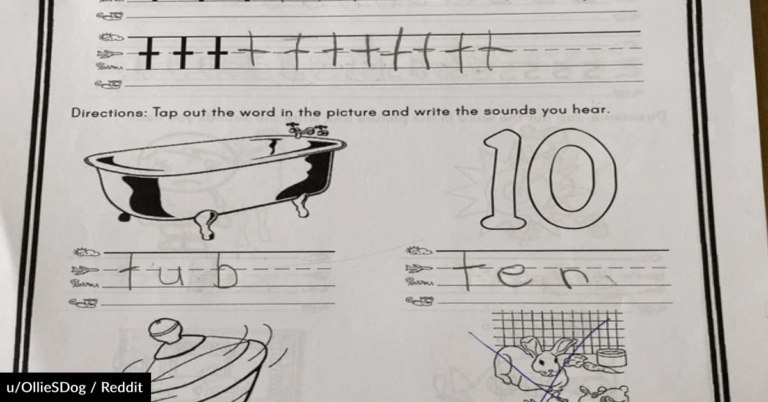 Kindergarten Homework Question Stumps The Internet