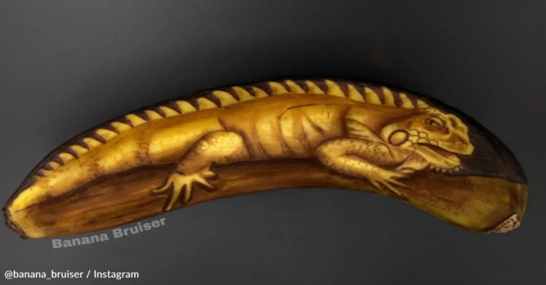 Woman Transforms Bananas Into Works Of Art