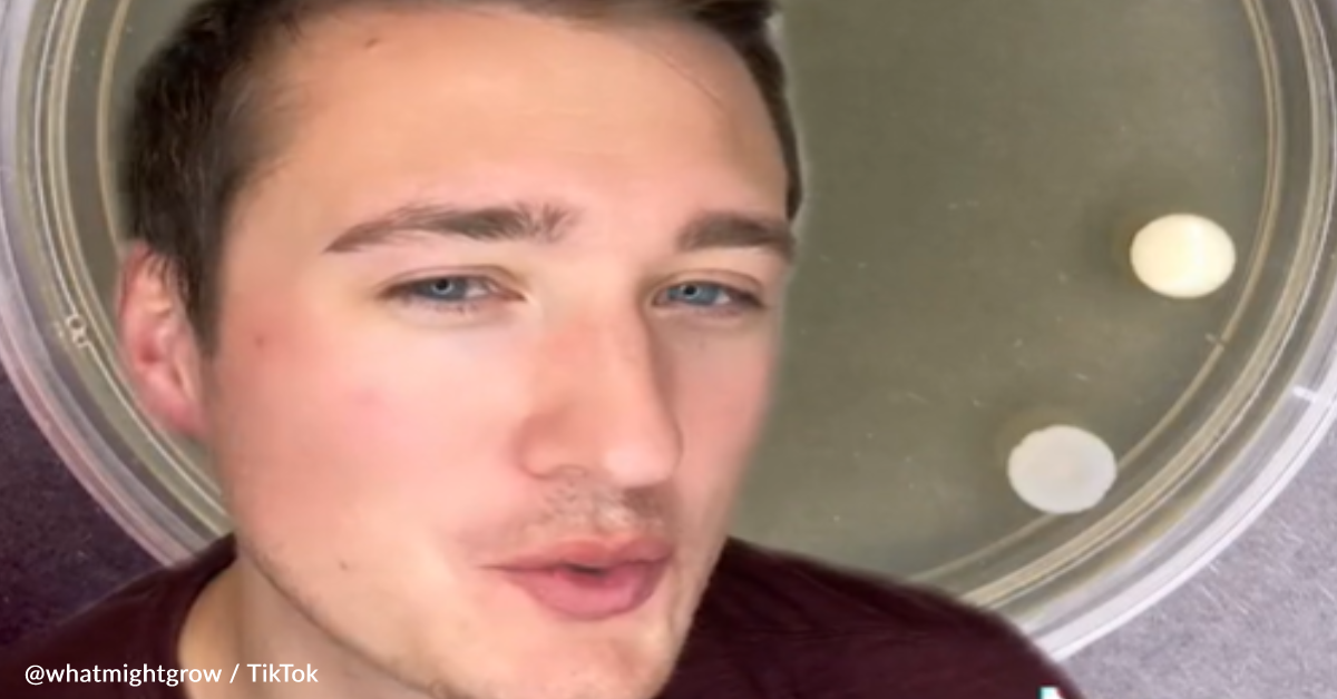 Microbiologist Tests How Much Bacteria Enters The Air When We Flush The