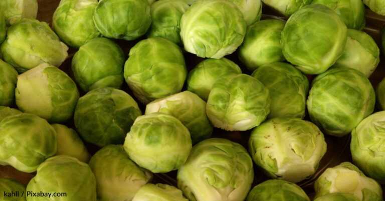 Brussels Sprouts Taste Better Thanks To Science