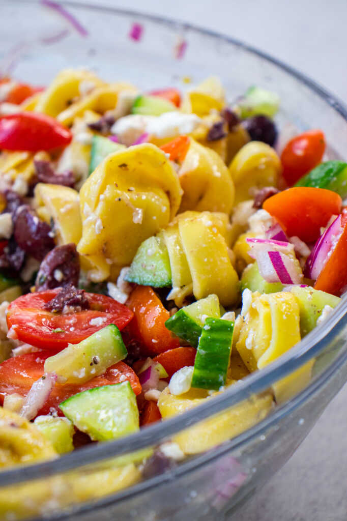 Greek Tortellini Salad 12 Tomatoes