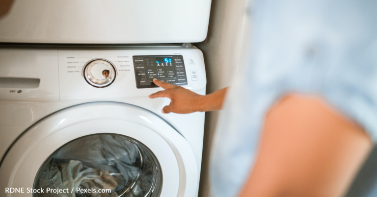 Woman Tries Doing Laundry And Discovers Her Washing Machine Is Infested With Ants