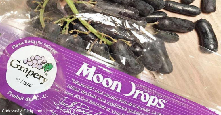 Moon Drop Grapes Are Rising In Popularity