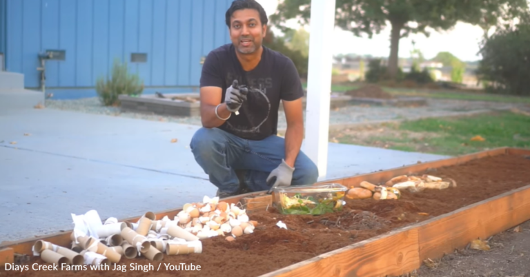 Man Shares How To Turn Table Scraps Into Nutrient-Rich Soil For Your Garden