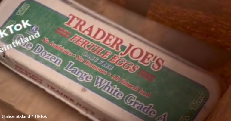 Teacher Claims To Hatch Chicks From Trader Joe’s Eggs