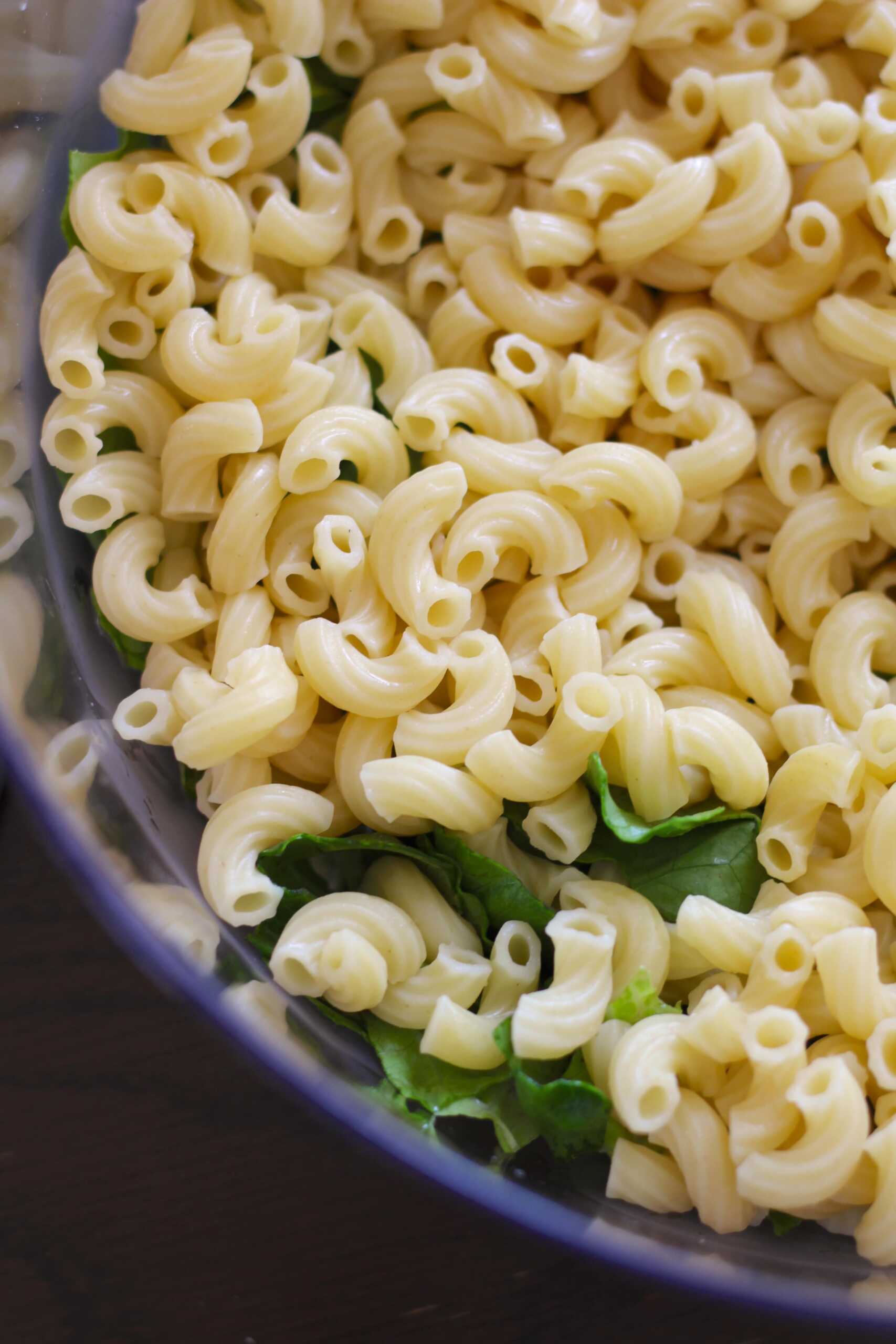 Layered pasta salad 1-min