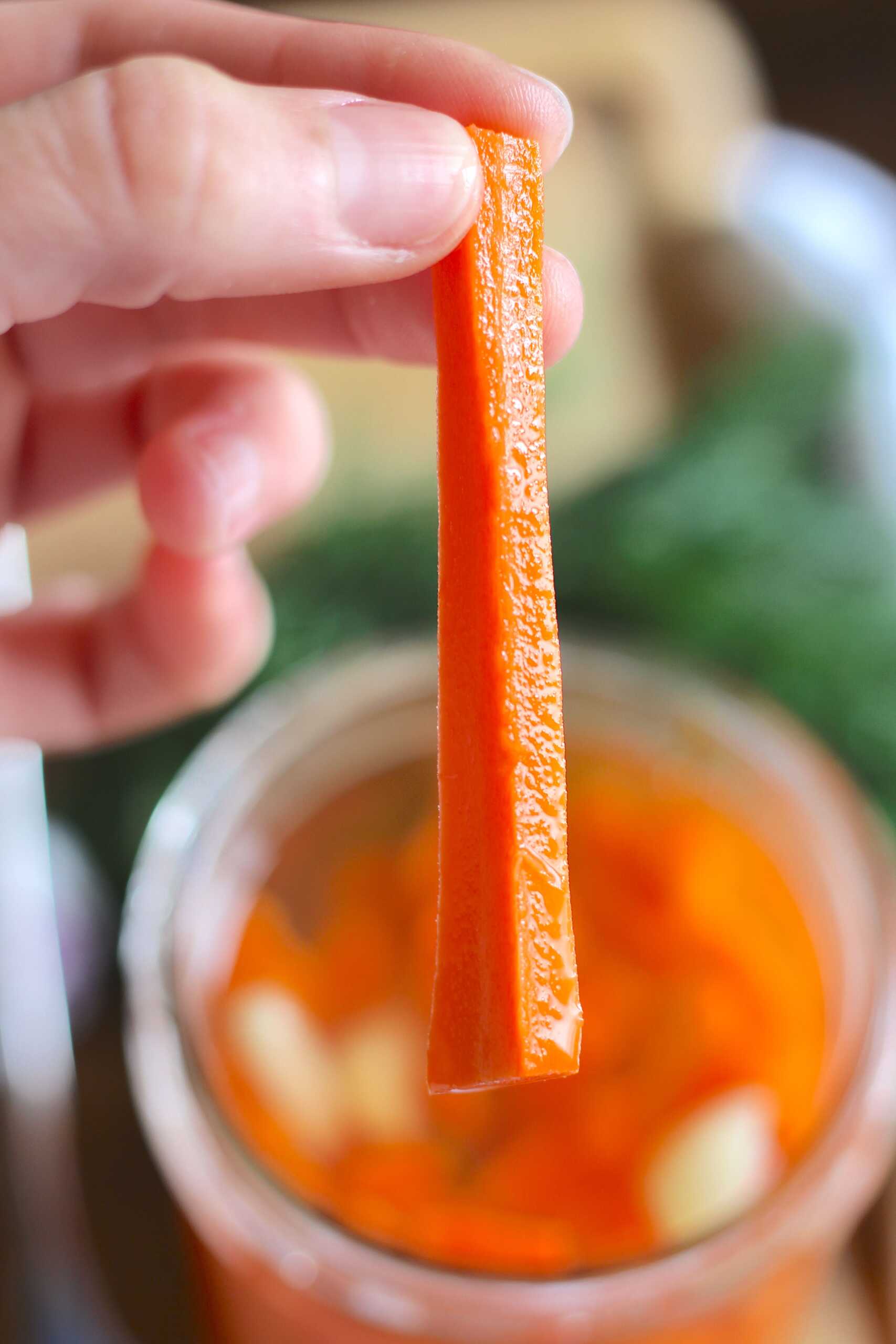 Pickles Carrots 10-min