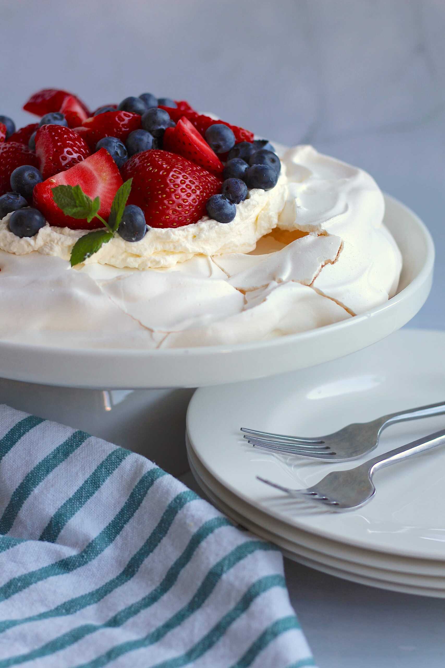 pavlova 2-min