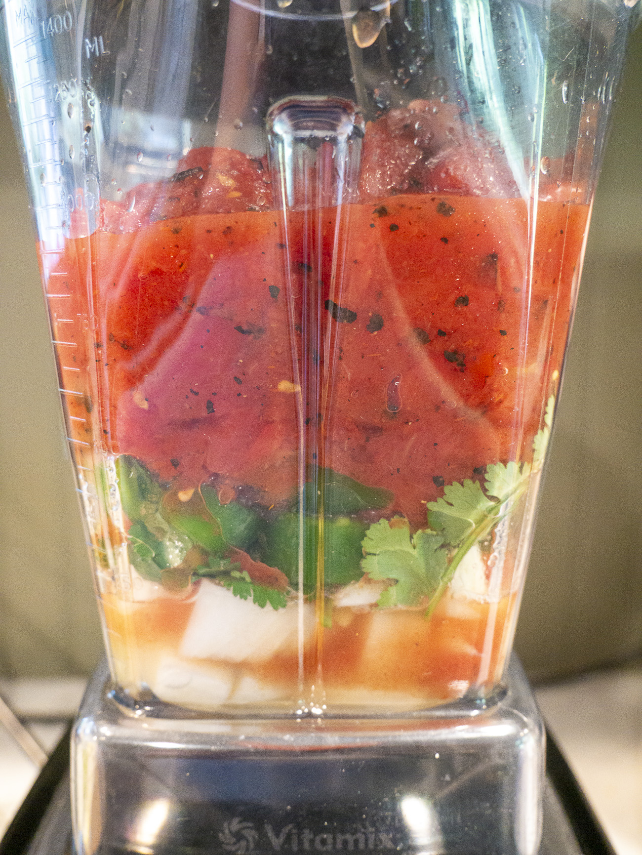 Easiest Blender Vitamix Salsa