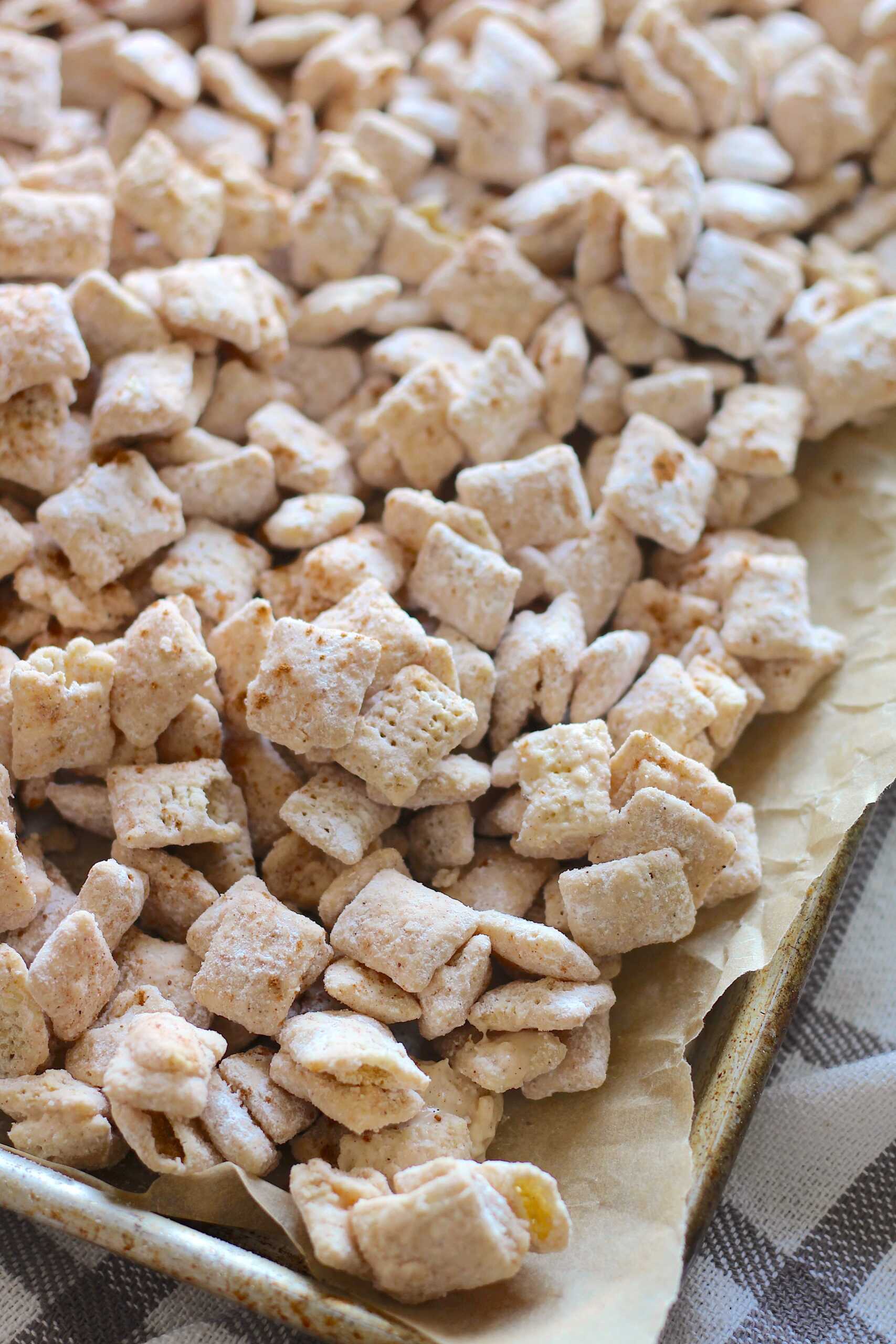 Pumpkin Spice Puppy Chow 2-min