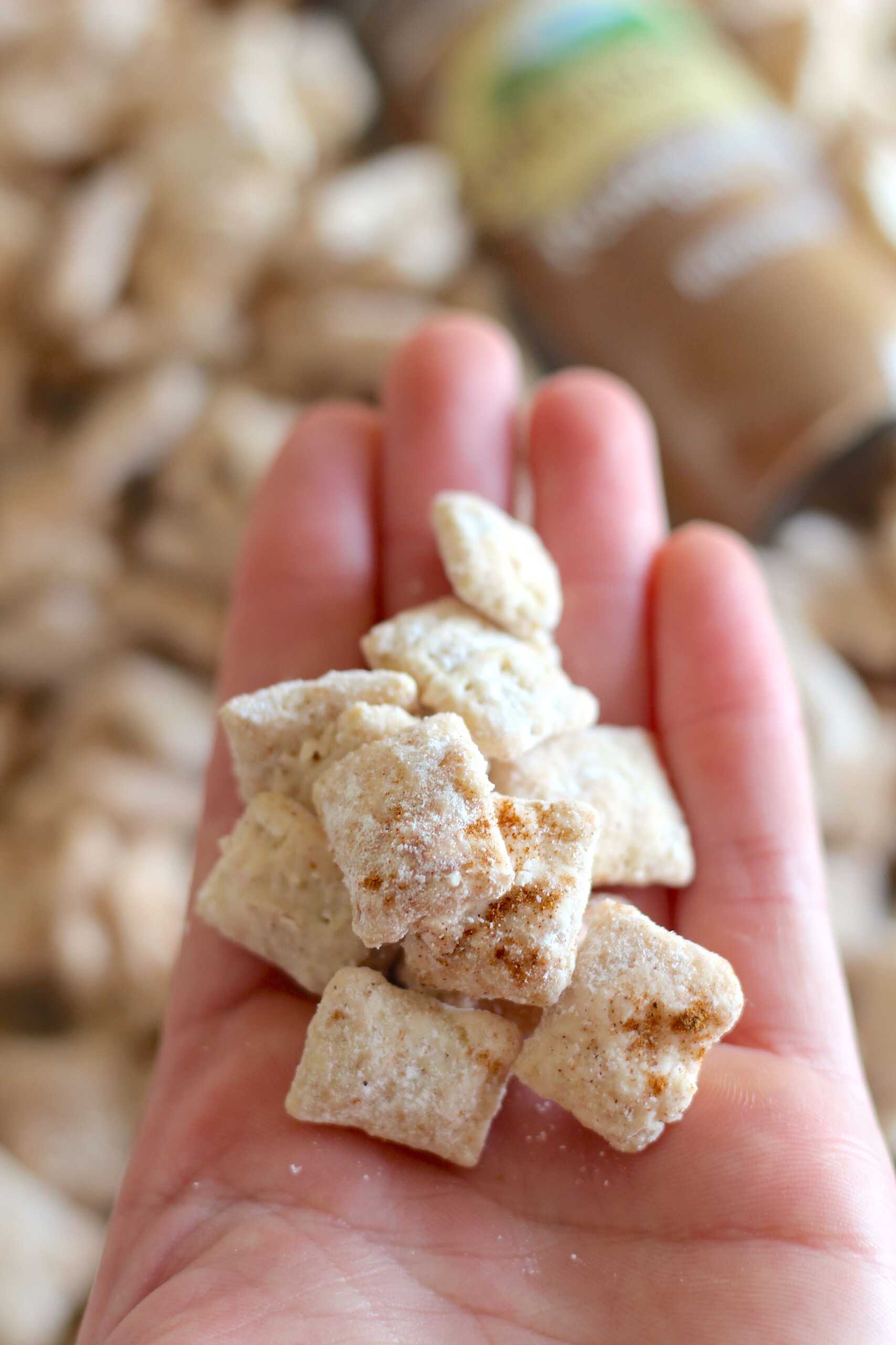 Pumpkin Spice Puppy Chow 6-min