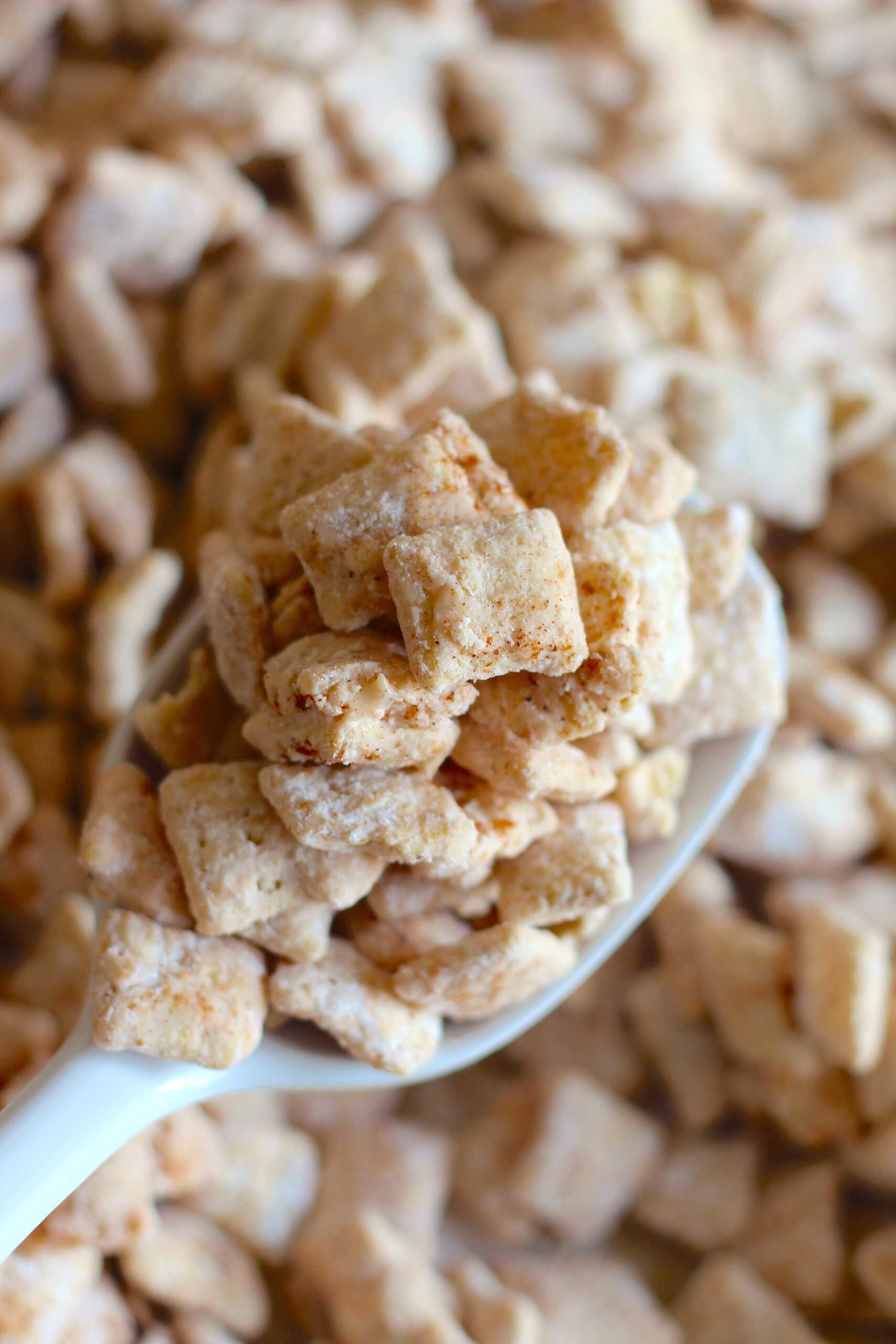 Pumpkin Spice Puppy Chow 7-min