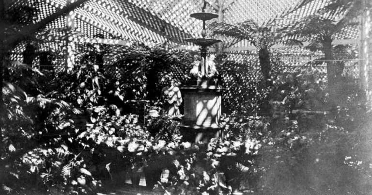 Human Vegetables And 2000 Ferns — The Hobbies Of The Victorians