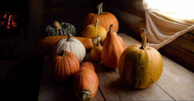 How Pumpkins Were Eaten In The 18th Century?