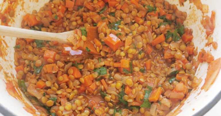 Lentil Ragout