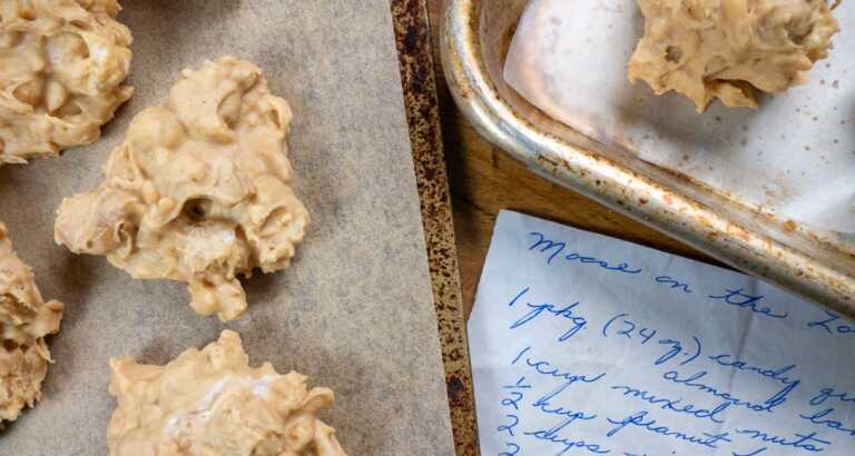 Recipe Tin Project: Moose on the Loose
