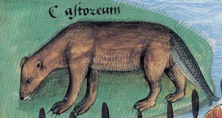 Medieval Era Lent Was Stricter And Odder Than You Think