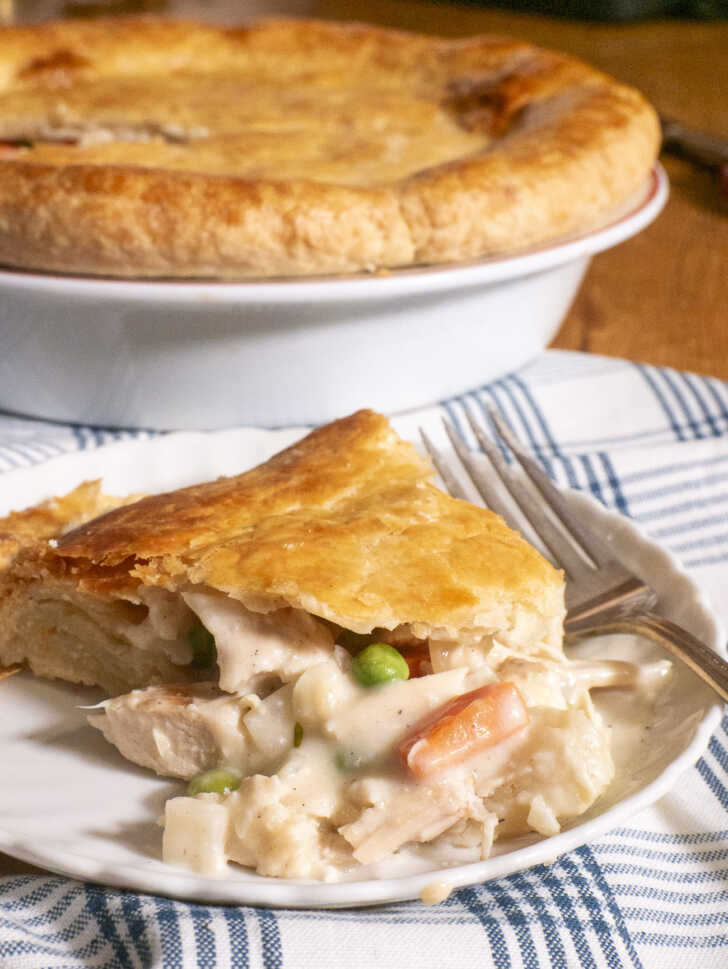 Classic Chicken Pot Pie 12 Tomatoes