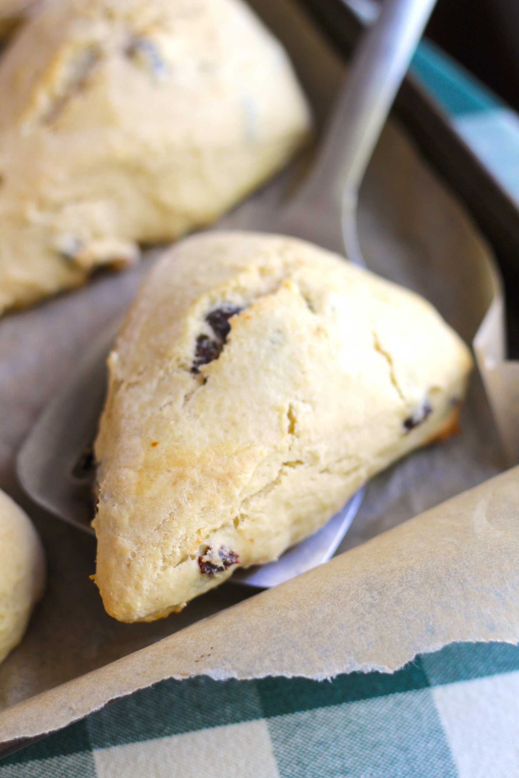 Raisin Scones 5-min