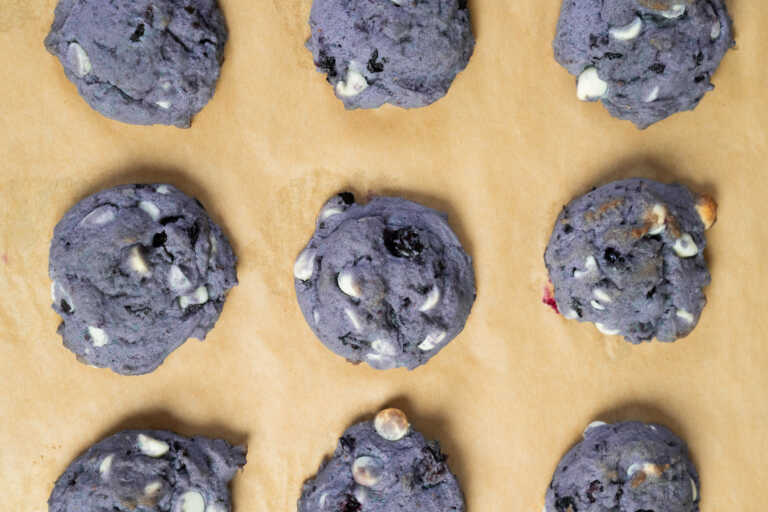Frozen Blueberry Cookies
