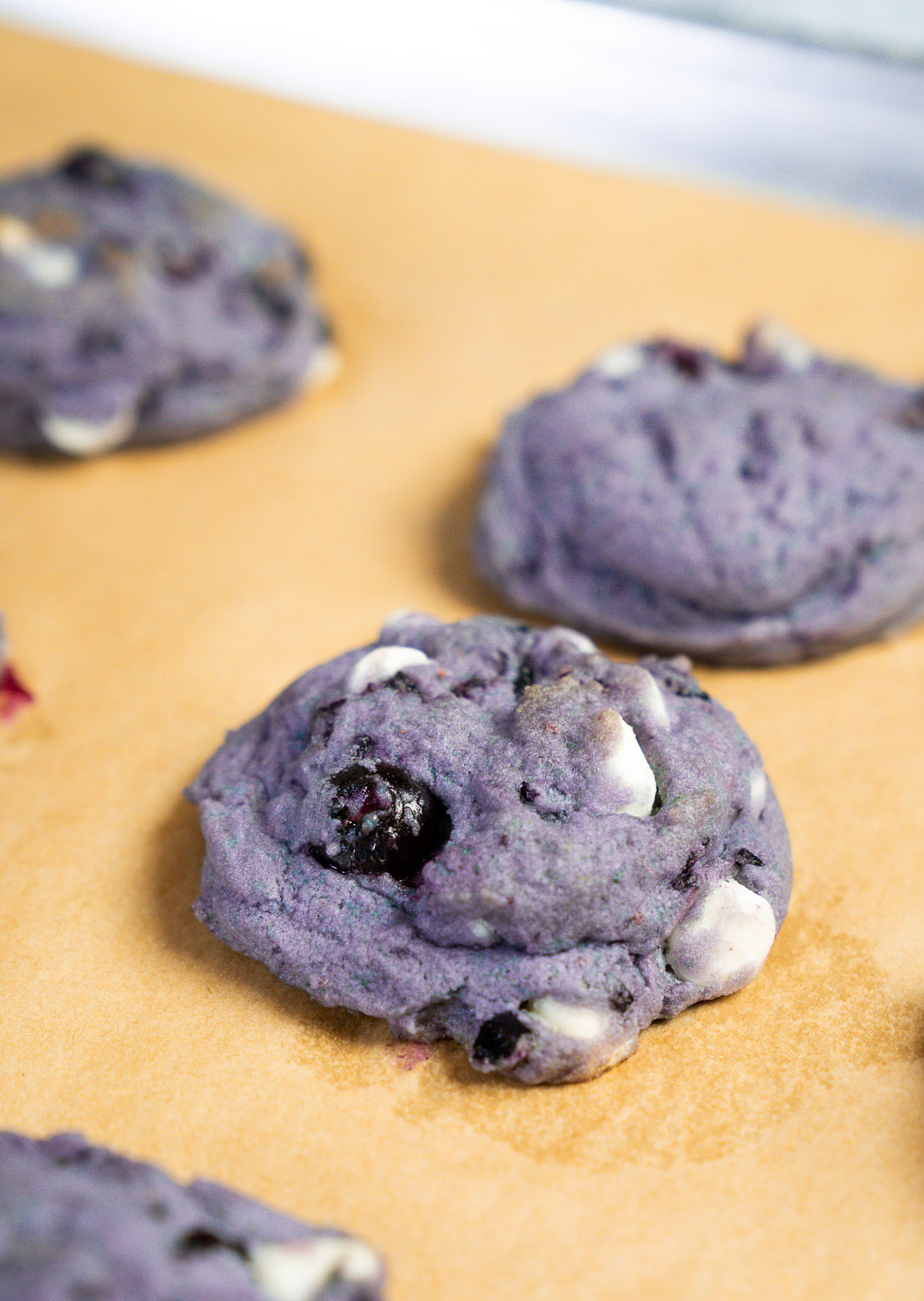 Frozen Blueberry Cookies Vert-23