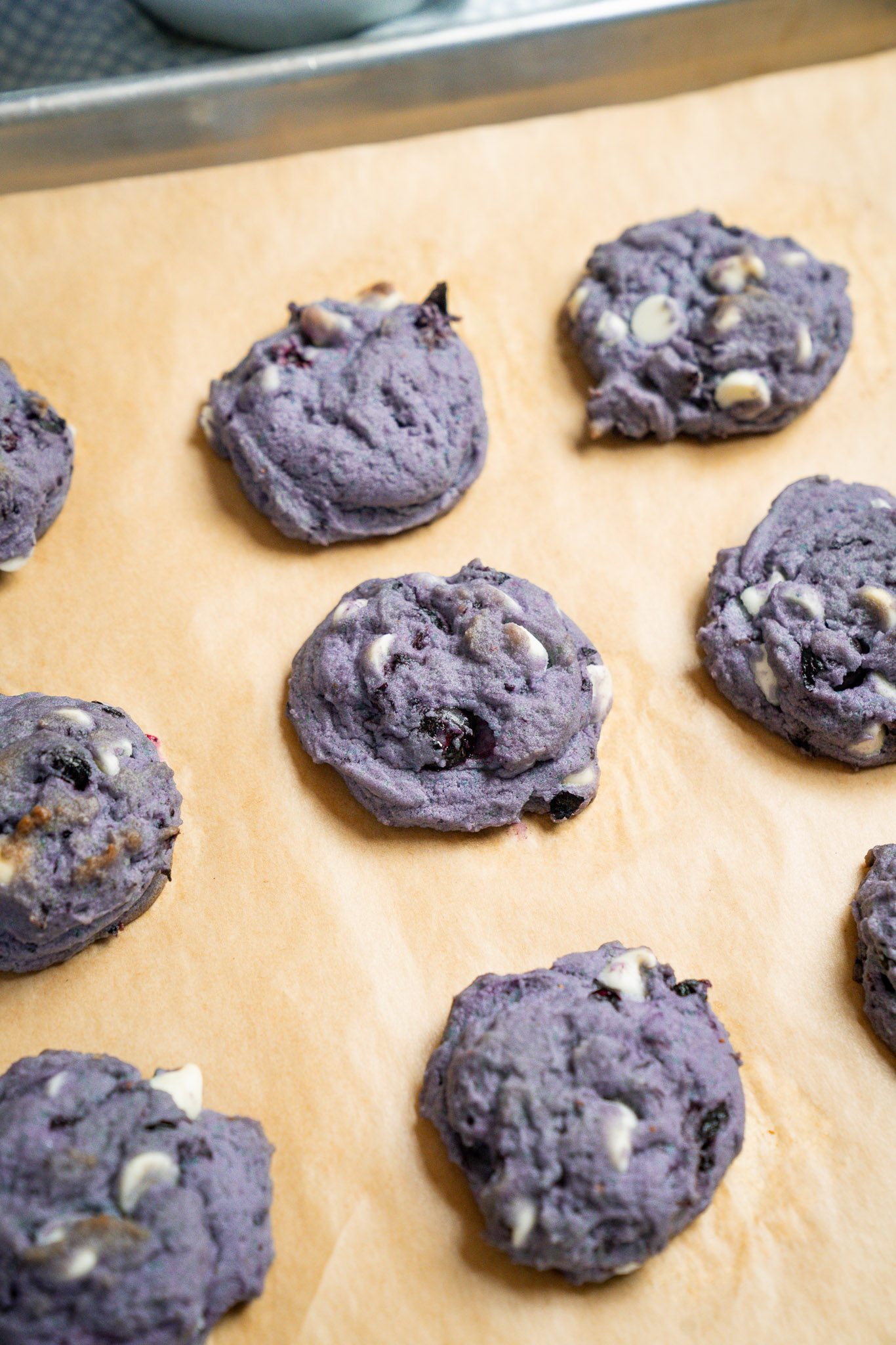 Frozen Blueberry Cookies Vert-20