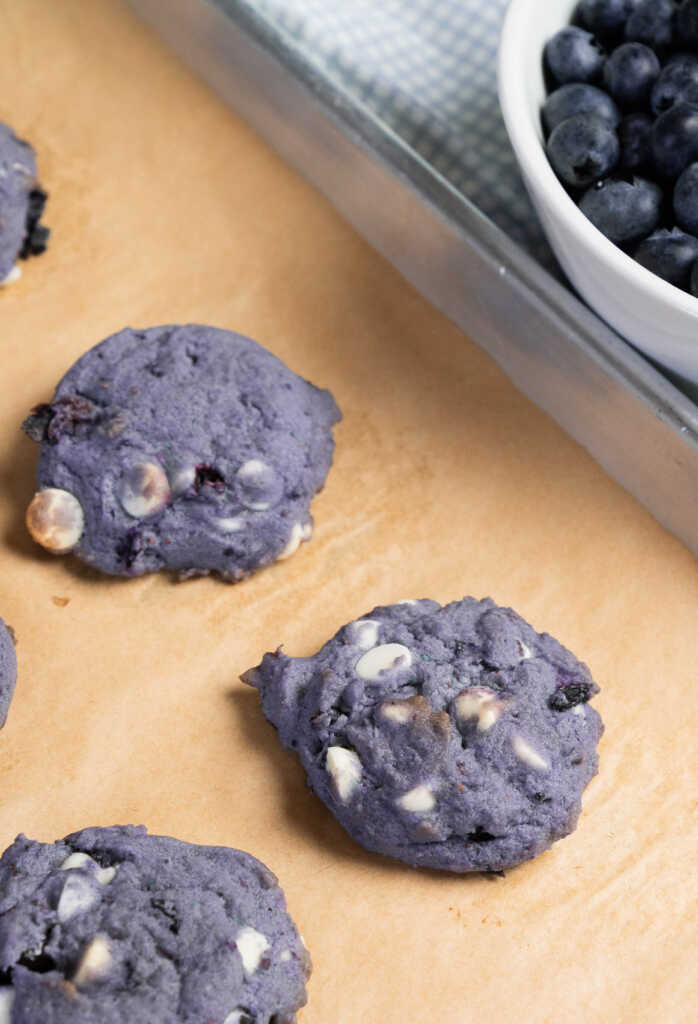 Frozen Blueberry Cookies | 12 Tomatoes