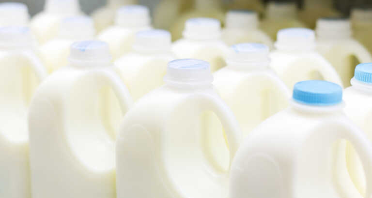 Bird Flu Is Hitting Dairy Cows