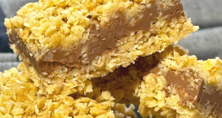 No-Bake Chocolate Oatmeal Bars