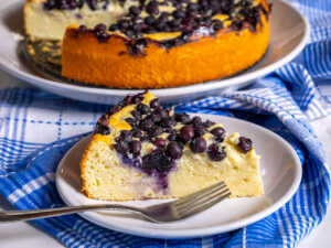 Lemon Blueberry Ricotta Cake Horizontal 9