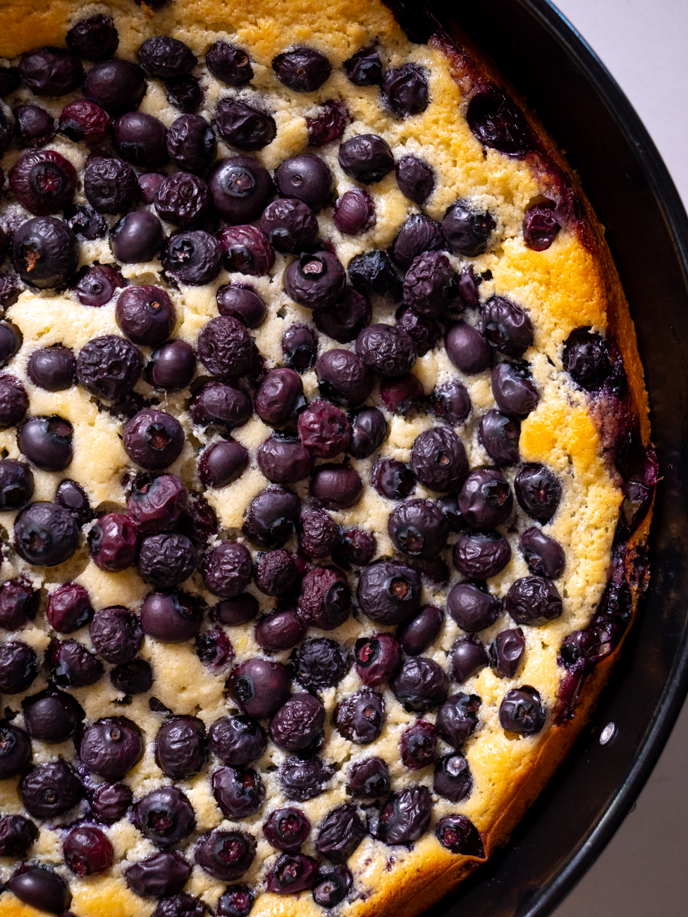 Lemon Blueberry Ricotta Cake Vertical 6