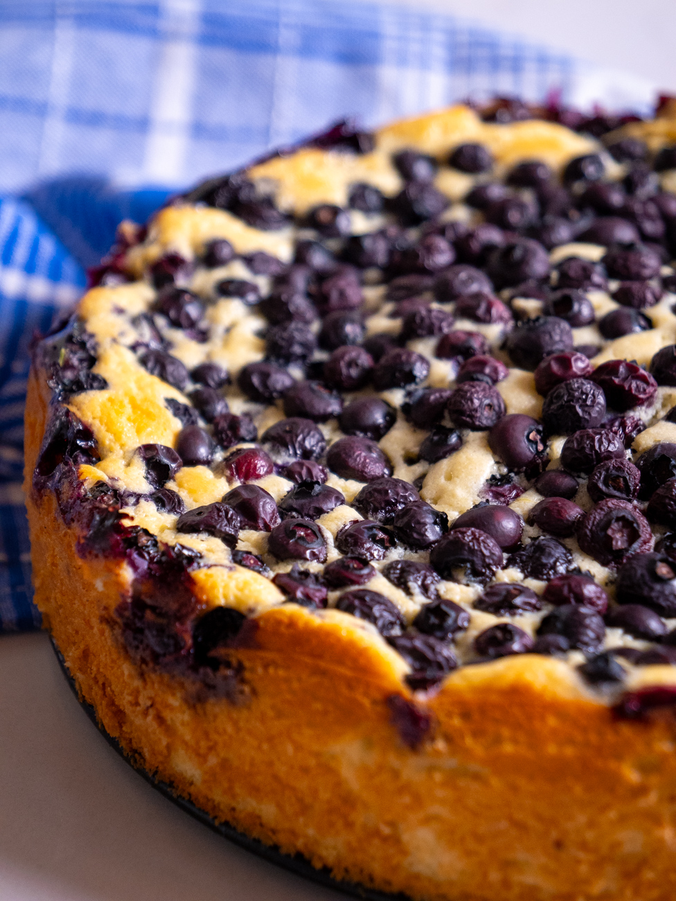 Lemon Blueberry Ricotta Cake Vertical 8