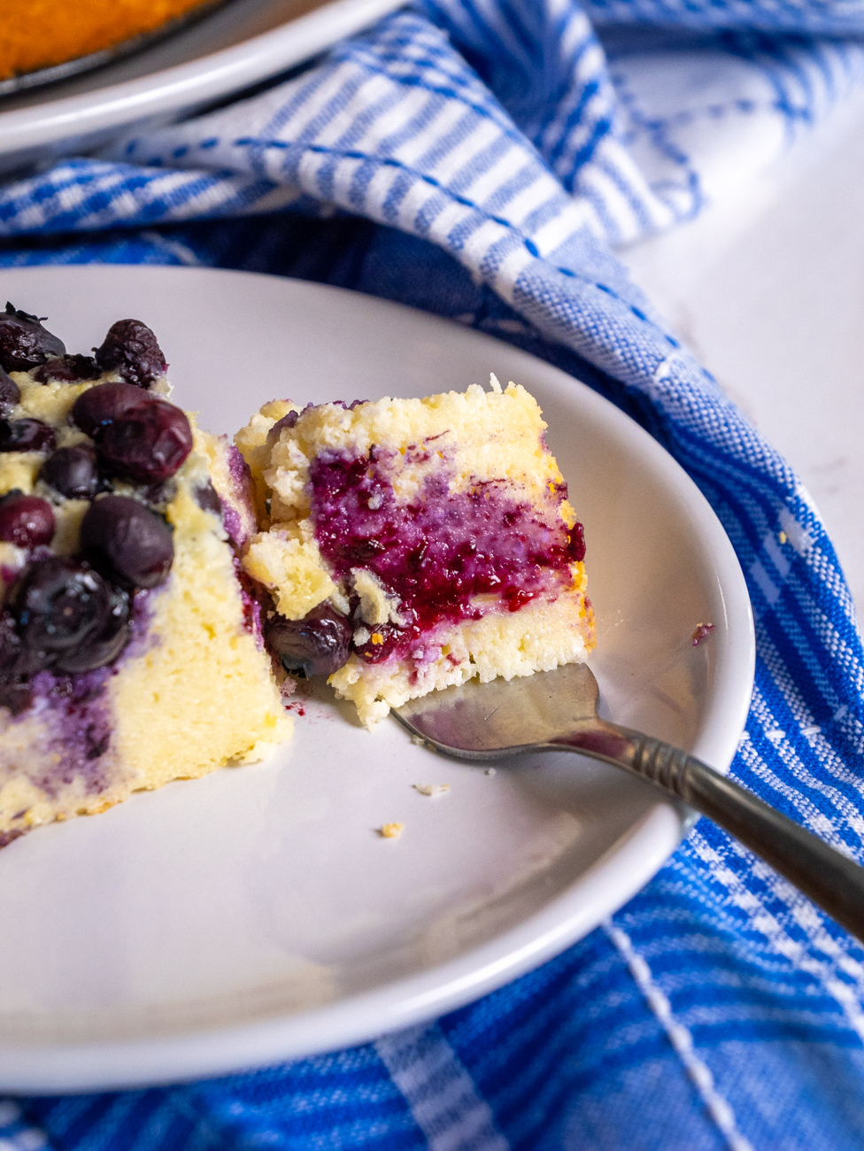Lemon Blueberry Ricotta Cake Vertical 20