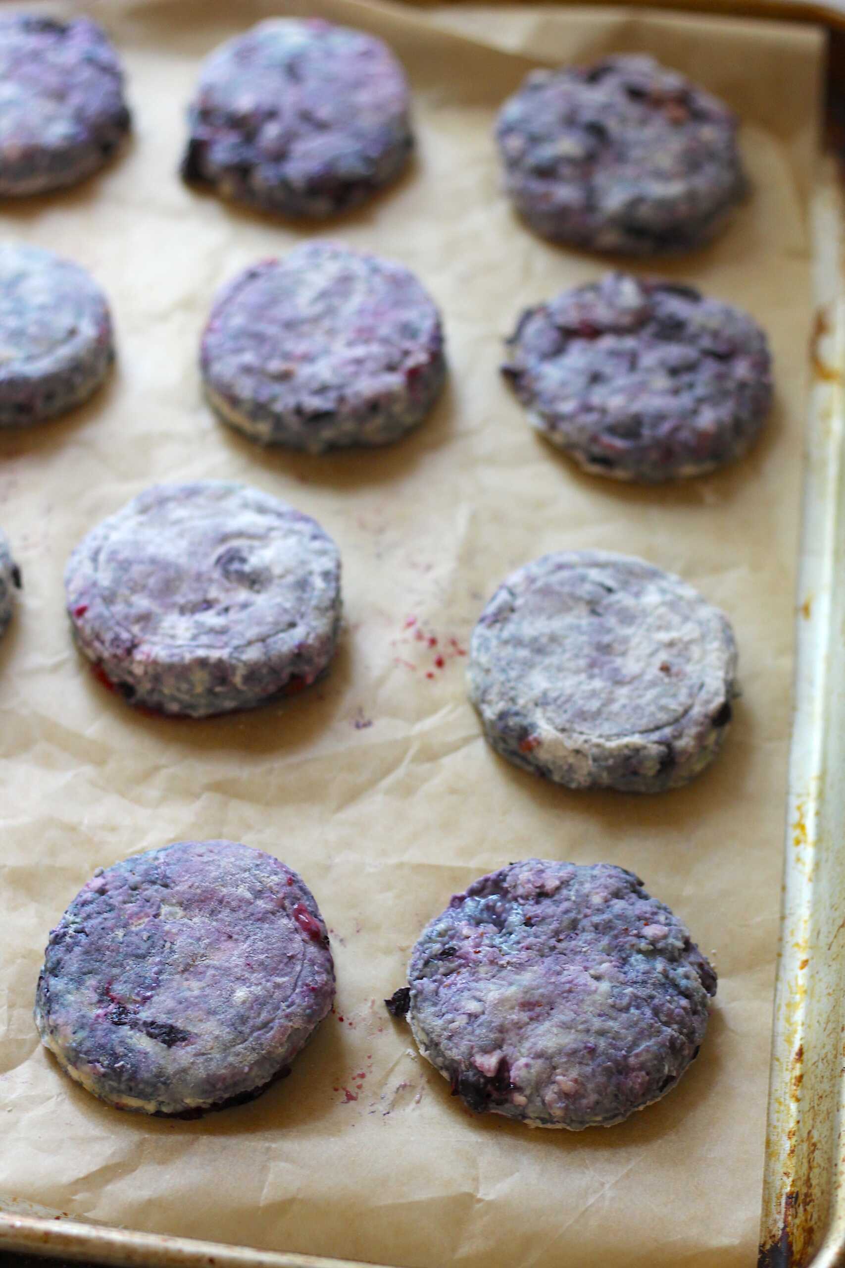 blueberry biscuits 2-min