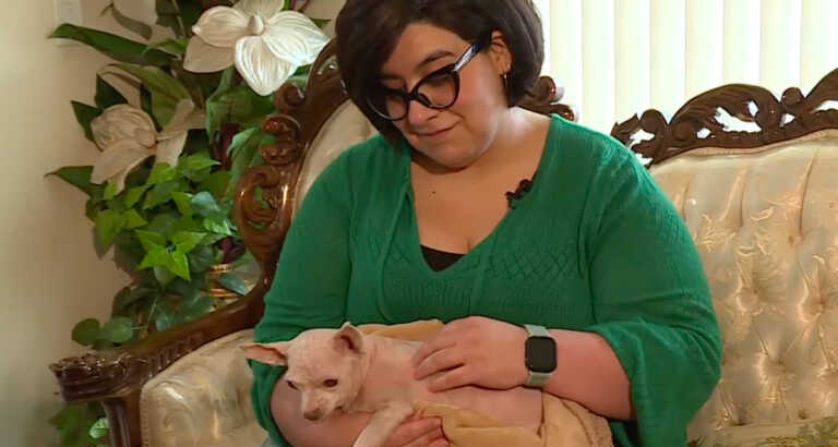 Dog Reunited With Owner After Being Missing For 9 Years In Las Vegas